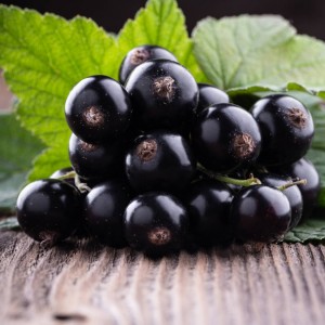 RIPE BLACKCURRANT | 60ml SALT NIC| 25mg (Lix) RIPE BLACKCURRANT | 60ml SALT NIC| 25mg (Lix)